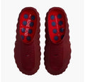 Mind 001 Slide Team Red University Red