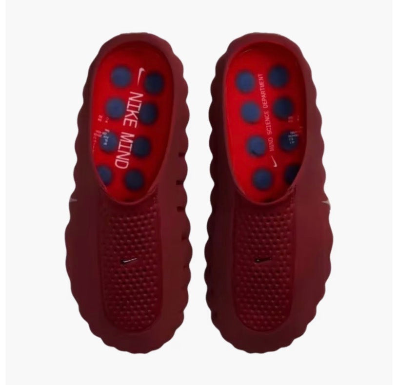 Mind 001 Slide Team Red University Red